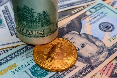 Dolar arkaplanındaki paranın yakın görünümü