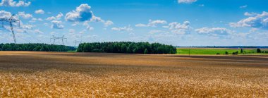 Manzara, bulutlar ve güzel tarlalar. 