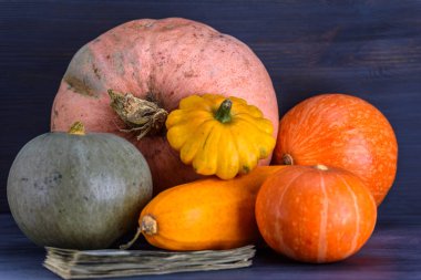 Kabak, kabak, arka planda veranda..