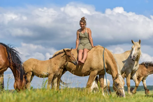 Dziewczyna Siedzi Koniu Fotografie Łące Lecie — Zdjęcie stockowe
