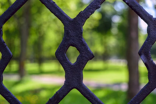 Fragment Metal Fence — Stock Photo, Image