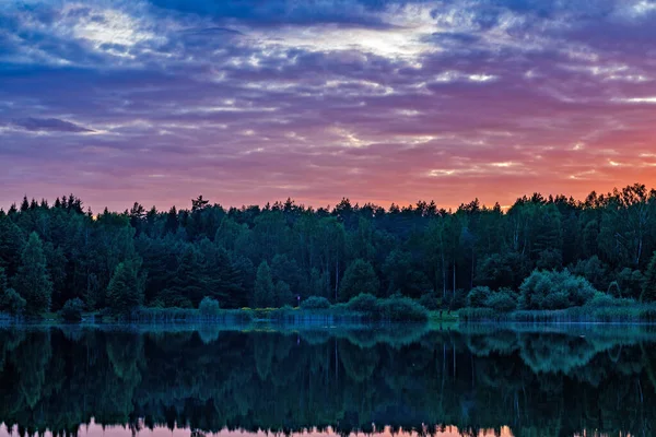 Forêt Bord Lac Avant Coucher Soleil Été — Photo