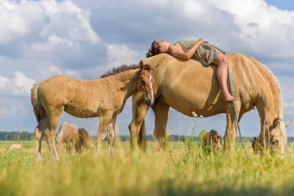 Rapariga Deita Cavalo Fotografado Prado Verão — Fotografia de Stock