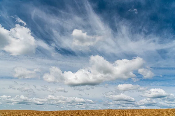 Beautiful Clouds Field Wheat — Stock Photo, Image