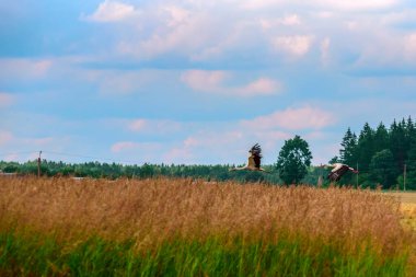 Leylek tarlanın üzerinde uçuyor..