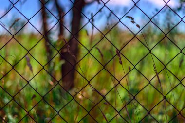 Çitlerdeki tel örgüler