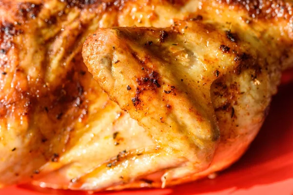 Ayam Tembakau Piring Merah — Stok Foto