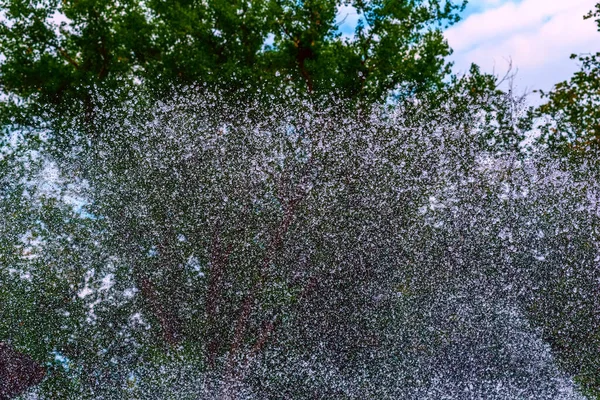 Uma Gota Água Uma Fonte — Fotografia de Stock