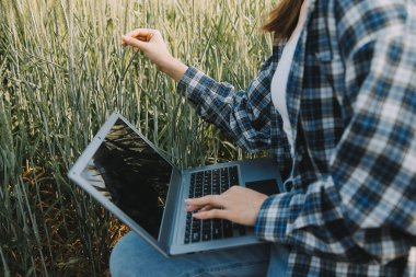 Smart farm. Farmer with tablet in the field. Agriculture, gardening or ecology concept. Harvesting. Agro business.