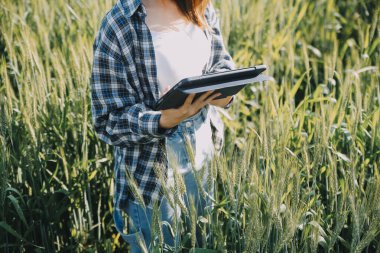 Smart farm. Farmer with tablet in the field. Agriculture, gardening or ecology concept. Harvesting. Agro business.