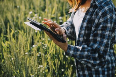 Smart farm. Farmer with tablet in the field. Agriculture, gardening or ecology concept. Harvesting. Agro business.