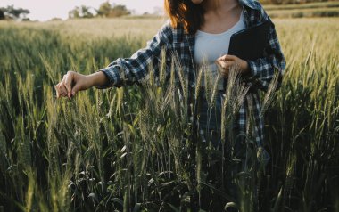 Smart farm. Farmer with tablet in the field. Agriculture, gardening or ecology concept. Harvesting. Agro business.