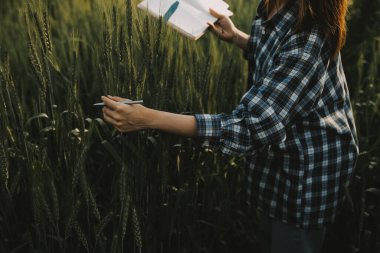 Smart farm. Farmer with tablet in the field. Agriculture, gardening or ecology concept. Harvesting. Agro business.