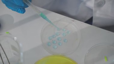 Kimyasal laboratuvar, Bilimsel laboratuvar