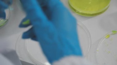 Bilim adamı elinde bir tabakla bir sıvı tutuyor.