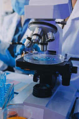 Araştırma ya da geliştirme için laboratuardaki insanlarla işbirliği, tablet ya da bilim. Tıbbi araştırma ve planlama için klinik deneyde bilim adamlarıyla buluşlar, teknolojiler ve mikroskop