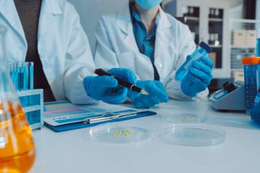 Araştırma ya da geliştirme için laboratuardaki insanlarla işbirliği, tablet ya da bilim. Tıbbi araştırma ve planlama için klinik deneyde bilim adamlarıyla buluşlar, teknolojiler ve mikroskop