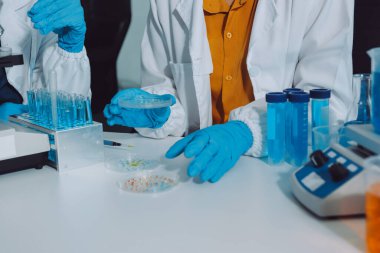 Araştırma ya da geliştirme için laboratuardaki insanlarla işbirliği, tablet ya da bilim. Tıbbi araştırma ve planlama için klinik deneyde bilim adamlarıyla buluşlar, teknolojiler ve mikroskop