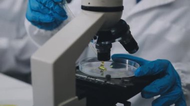 Laboratuvarda numuneyle çalışan bilim adamı..