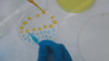 Bir kimya laboratuvarı yapma süreci.