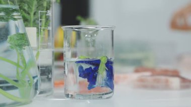 Taze mavi çiçekleri ve beyaz arka planda cam kavanozlardaki yeşil bitkileri kapatın..