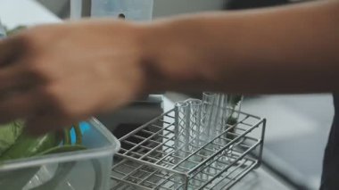 Mutfakta elinde yeşil bir bitki tutan kadının ellerini kapatın.