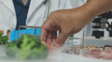 Laboratuvarda yeşil yaprakları inceleyen bilim adamı