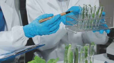 Laboratuvarda bitkileri inceleyen bilim adamı