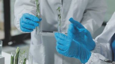 Yeşil bitkilerle cam tutan kadın bilim adamına yakın çekim