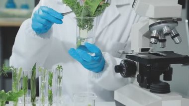 Laboratuvarda mikroskopla çalışan bilim adamı