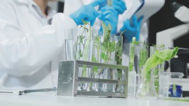 Laboratuvarda yeşil bitkilerle dolu cam tüp tutan bilim adamı
