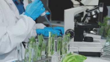 Laboratuvarda çalışan bilim adamı.