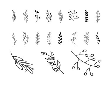 Beyaz arka planda yaprakları ve çiçekleri olan el yapımı ağaç dalları.