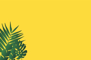 Kusursuz yeşil filodendron eğreltiotu bambu yaprağı areca palmiye vektör deseni. Beyazın doğal basit bir geçmişi var. Elle çizilen yapraklar tropik desen.