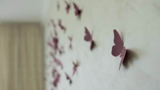 Disposición de la mariposa mágica en una pared, mariposas coloridas decoración — Vídeo de stock