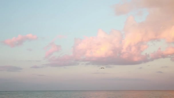 Puesta de sol en el mar, olas, brisa marina, playa . — Vídeos de Stock