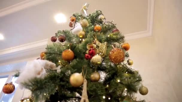 Η γιορτή των Χριστουγέννων. Όμορφα διακοσμημένο σπίτι με ένα χριστουγεννιάτικο δέντρο. Closeup χρώμα μπιχλιμπίδι που κρέμονται από ένα στολισμένο χριστουγεννιάτικο δέντρο. — Αρχείο Βίντεο