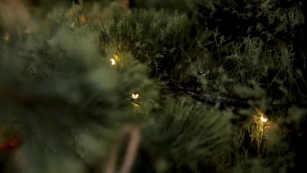 Fiesta de Navidad. Casa bellamente decorada con un árbol de Navidad. Primer plano de la bola de colores colgando de un árbol de Navidad decorado . — Vídeos de Stock