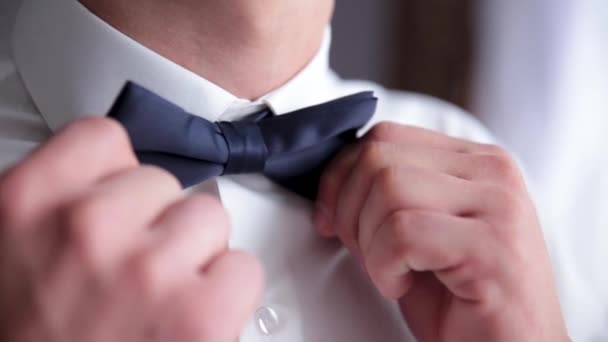 Hombre de negocios que se pone corbata de lazo, ropa de mariposa hombre, novio preparándose en la mañana antes de la ceremonia de la boda. Moda de hombres. — Vídeo de stock
