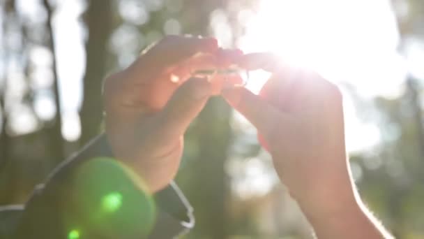 손은 태양의 광선에 가까운 링을 잡아. 주얼리를 소중히 여기 고 결혼 하기. — 비디오
