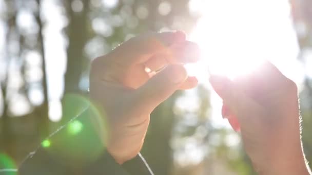 Las manos sostienen anillos cerca de los rayos del sol. Valorar joyas o casarse . — Vídeo de stock