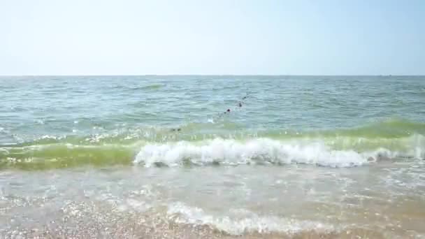 Saluda en el mar, océano. Playa . — Vídeos de Stock