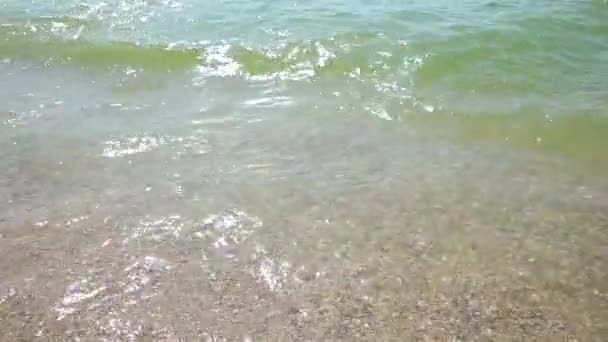 Saluda en el mar, océano. Playa . — Vídeo de stock