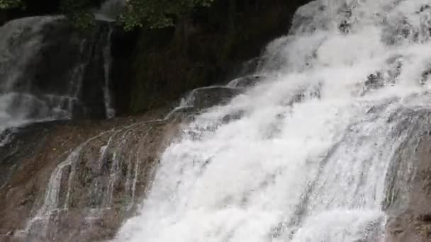 Vista de la montaña cascada de cerca. Montaña río cascada paisaje . — Vídeos de Stock