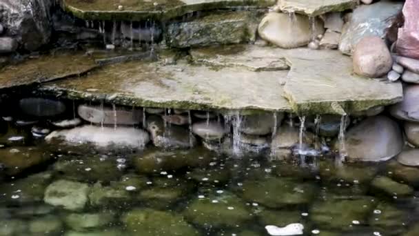 The wheel of a decorative water mill against the background of evergreen trees — Stock Video