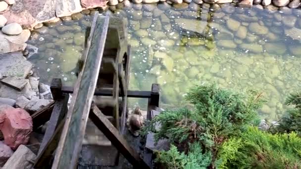 The wheel of a decorative water mill against the background of evergreen trees — Stock Video