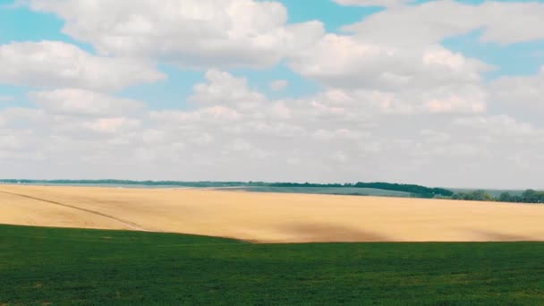 Havadan Ateş Etme Sarı Alan Mavi Gökyüzü Yeşil Çimenler Quadcopter — Stok video