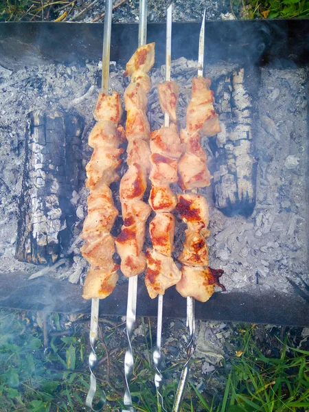 Çimenlerin üzerinde duran bir barbeküde ızgara et şişlerini kapatın