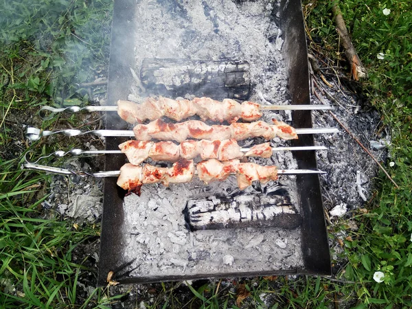 Çimenlerin üzerinde duran bir barbeküde ızgara et şişlerini kapatın