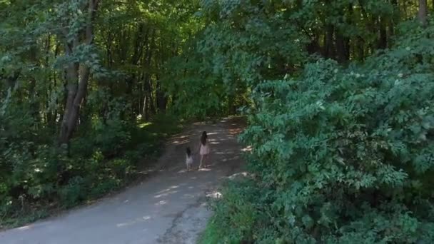 Elegantes Mädchen mit ihrer kleinen Tochter, die im Wald zwischen den Bäumen spazieren geht und Spaß hat. — Stockvideo